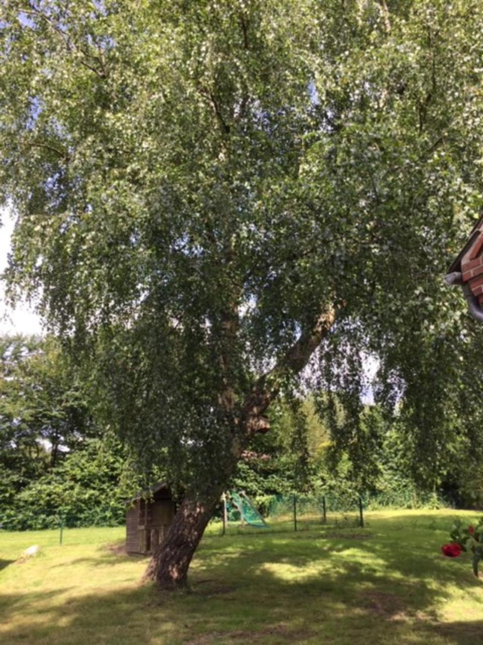 Apartament Muehlenweg- Tante Lise Süderlügum Zewnętrze zdjęcie